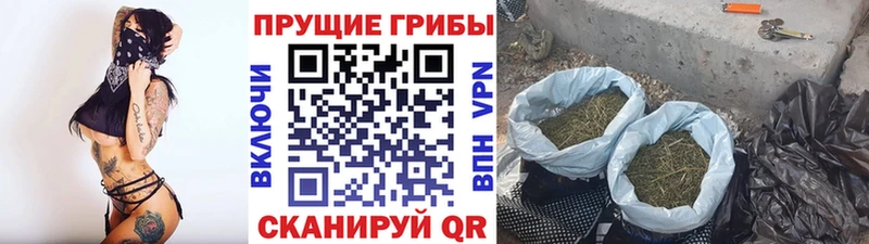 Псилоцибиновые грибы MAGIC MUSHROOMS  Крымск 